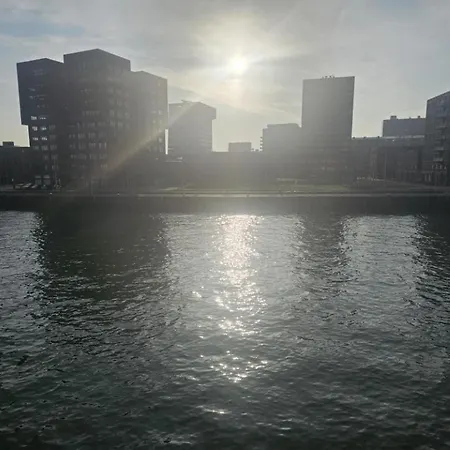 New Ocean Paradise 3*